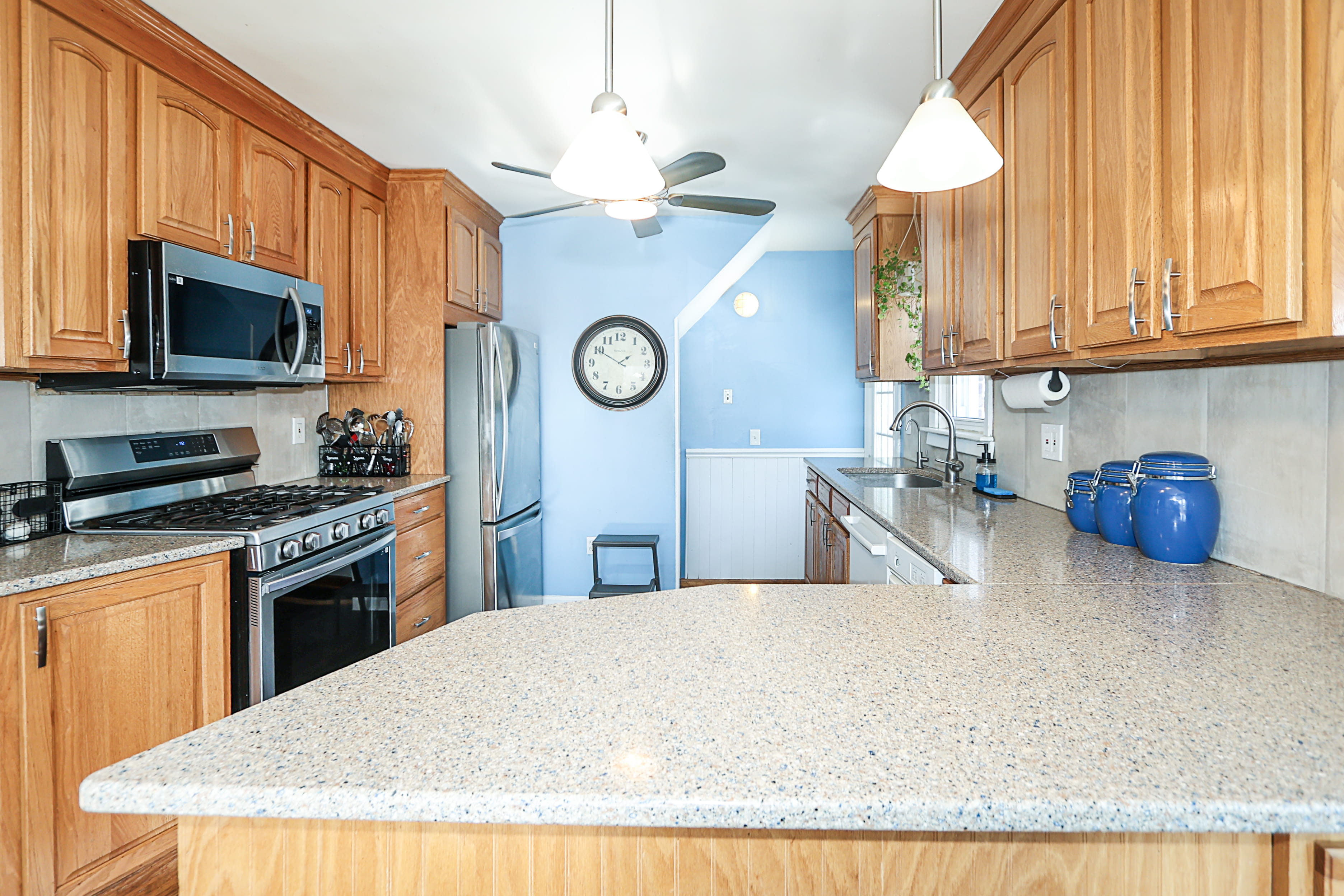 58 Elm Court, New Hyde Park 9